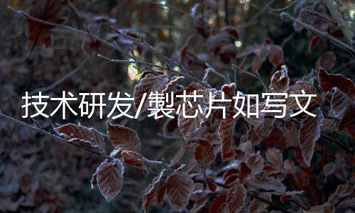 片写年销售芯片上亿颗