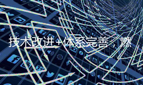 发展体系完善等多方面