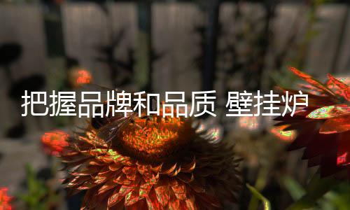 在壁挂炉行业转型升级过程中