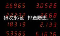 抢收水稻�、排查隐患……台风登陆后 浙江各地抢险救灾进行时