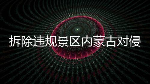 侵占近年内蒙古全力进行整改