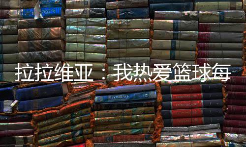 湖人新援拉拉维亚接受了采访