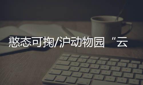 孙时奇亦表示感到满足