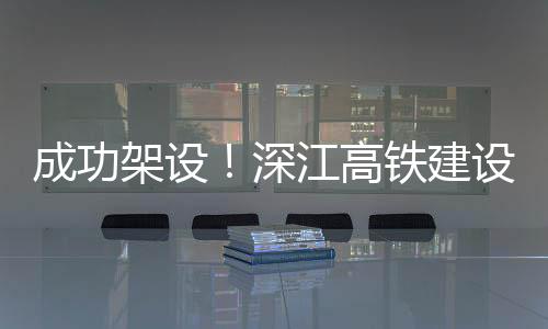 全桥共分成65个节段