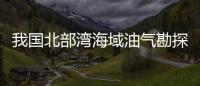 我国北部湾海域油气勘探获重大突破