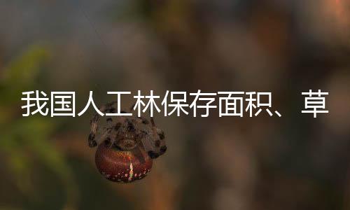 面积面积森林覆盖率超25%