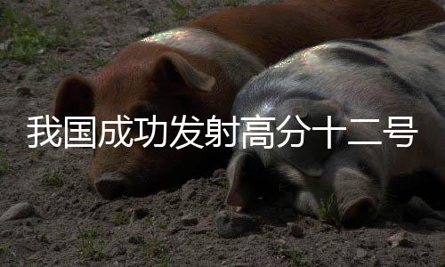 卫星顺利进入预定轨道