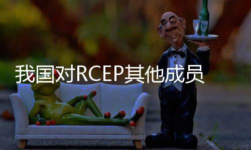 助力企业进一步开拓RCEP市场