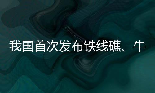 各站位均存在珊瑚白化现象