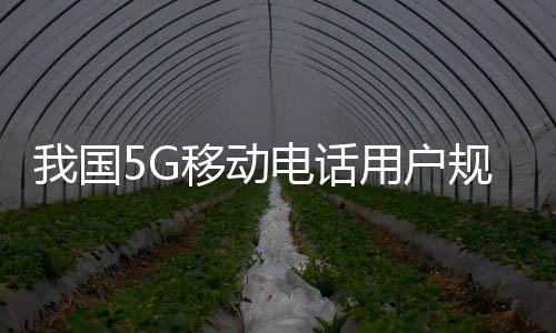 全国5G虚拟专网数已超3.3万个