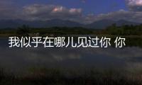 我似乎在哪儿见过你 你是央视上的丰叶板材�！