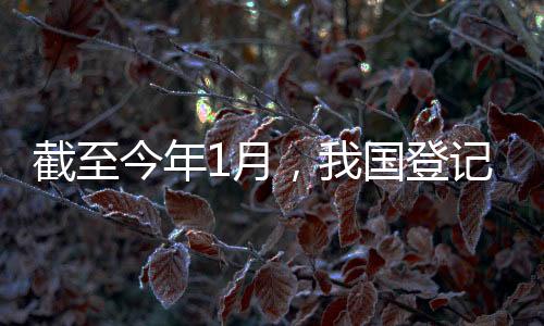 市场监管总局统计数据显示