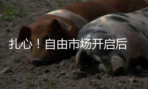 人家湖人队也完成了升级
