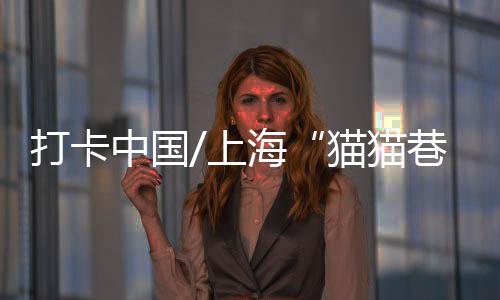简易的上海线条勾勒