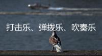 打击乐	、弹拨乐�、吹奏乐
、拉弦乐，中国各类民族乐器入门难度如何