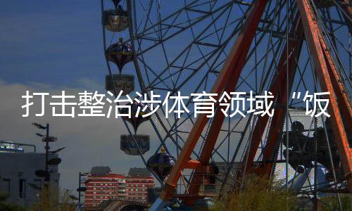 饭圈造成不良社会影响