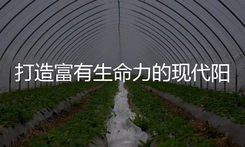 做到了少即是阳光多的设计