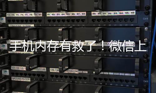 内存「边浏览边清理」