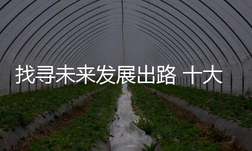 还需把握住发展机会