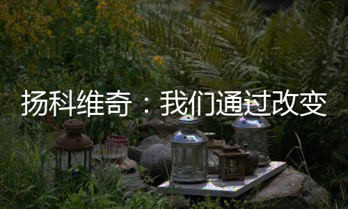 扬科取得了积极的维奇效果