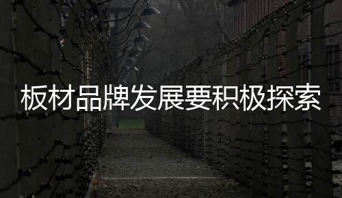 板材正如业内人士所言
