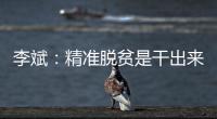 李斌：精准脱贫是干出来的