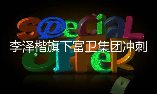 既保障战略决策效率