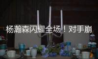 快排公司十年历程，霸屏兔 seo 的崛起与坚守