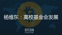 杨维东	：高校基金会发展需要超越简单的筹资概念