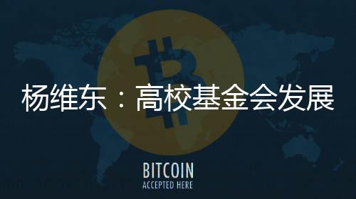 高校基金会的发展路径