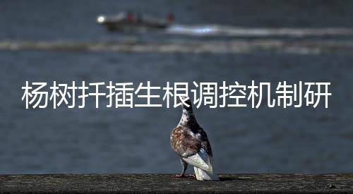 机制提高营养繁殖效率