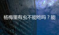 杨梅里有虫不能吃吗	？能吃！
