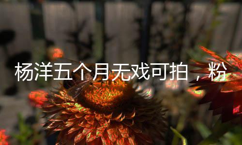 杨洋也开始被大范围抵制