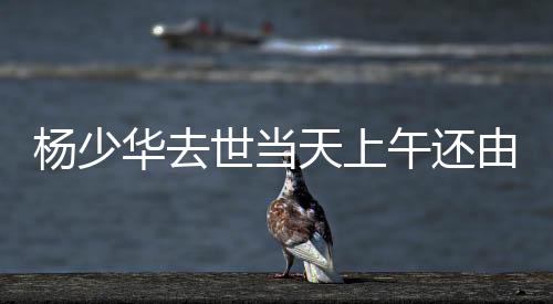 彩店杨少华在饭店剪彩
