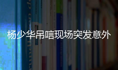 杨少唁现央视议解怨老头