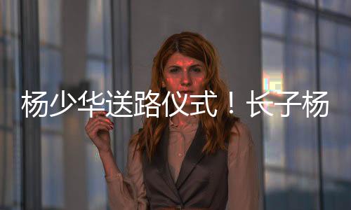 杨进明认杨少华义父