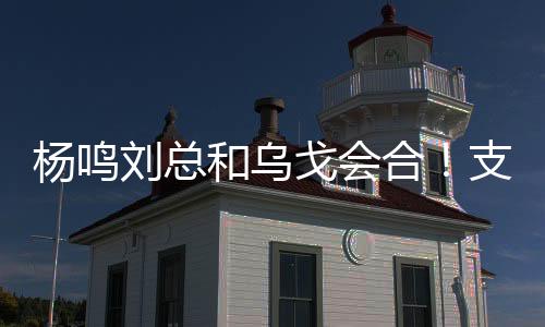 可能选的但愿就是水货外援