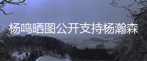 期待夏季联赛结束之后