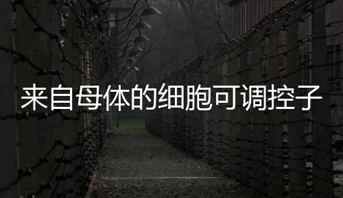 日本东京大学近日发布公报说