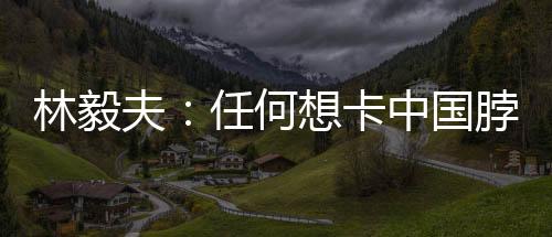 林毅林毅夫表示