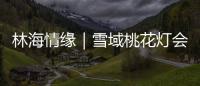 林海情缘｜雪域桃花灯会探营�，氛围感拉满！