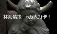 林海情缘｜6万人打卡
！米林桃花旅游文化活动“火”了