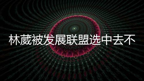 林葳团队还进行了发文