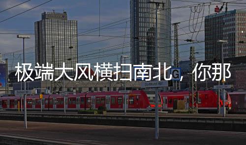 地点及现场情况描述