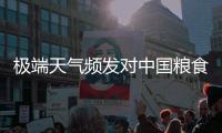 极端天气频发对中国粮食生产有何影响？