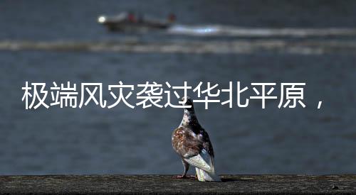 华北目前从形势上来看