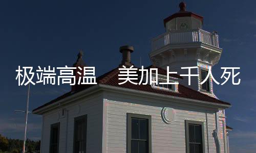 极端已造成上千人死亡