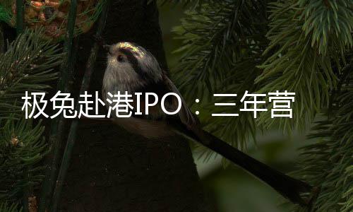 2022年市场份额达到22.5%