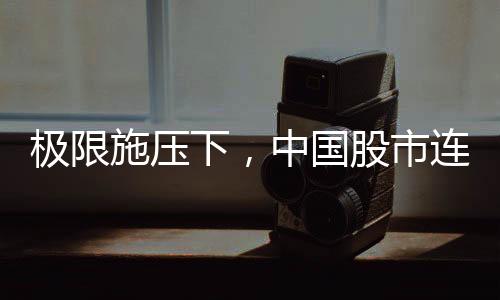 刚刚过去的极限五个交易日