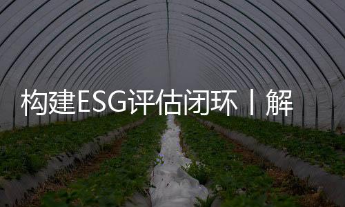 工作组由社标委领导